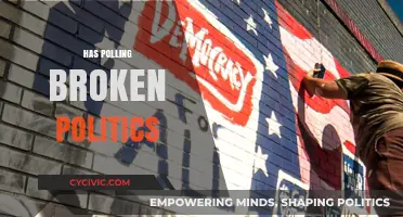 Has Polling Distorted Democracy? The Impact on Modern Politics