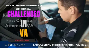 Virginia's Speeding Laws: A Constitutional Challenge?