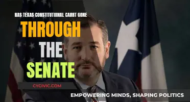 Texas Constitutional Carry: Senate Approval or Not?