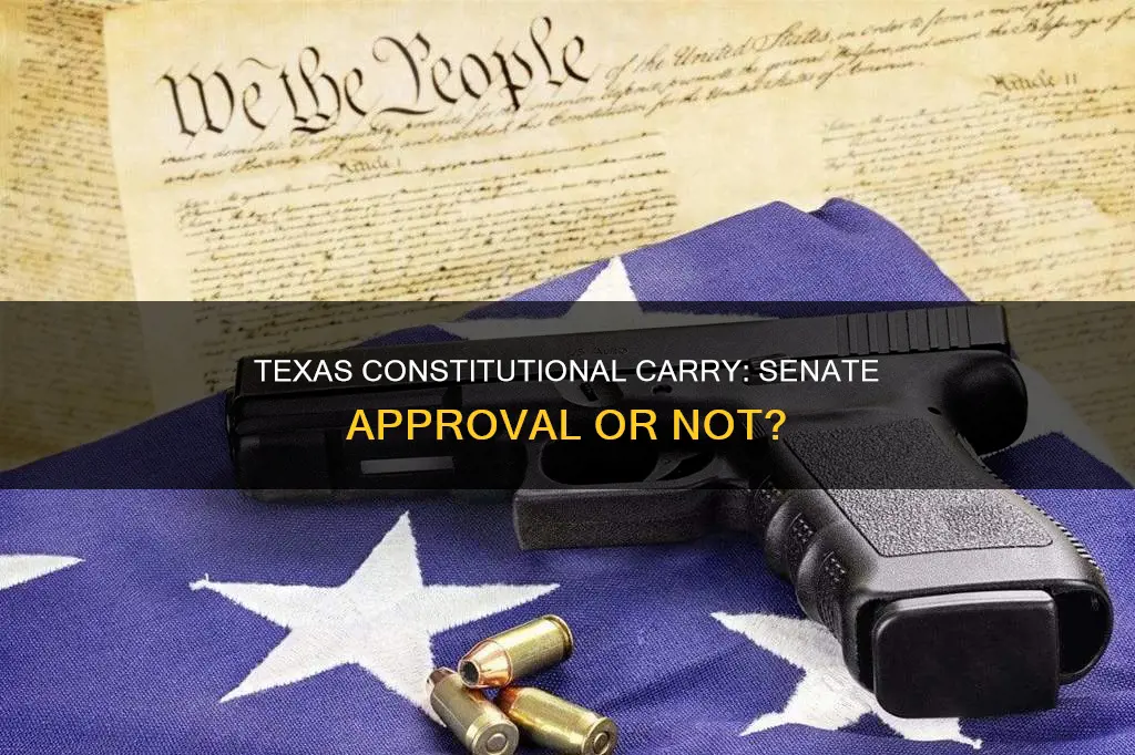 has texas constitutional carrt gone through the senate