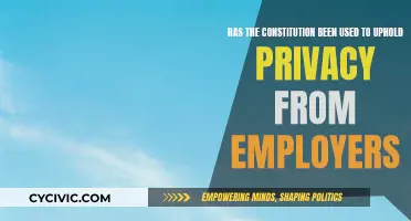 Privacy Rights: Constitution vs. Employers