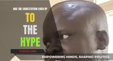 The Constitution: Overhyped or Underappreciated?