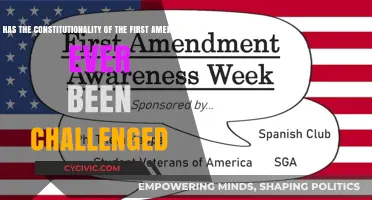 First Amendment: Ever Been Challenged Constitutionally?