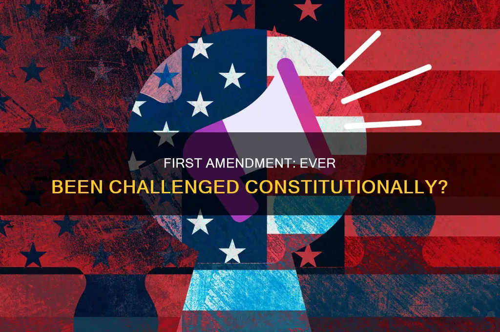 has the constitutionality of the first amendment ever been challenged