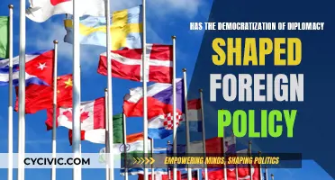 Diplomacy's Democratization: Foreign Policy's Future?