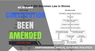 Illinois Constitution: Amendments and Their Impact