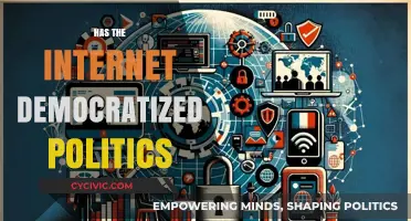 Has the Internet Truly Democratized Politics? Exploring Access and Influence