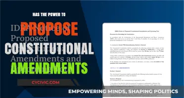 Who Holds the Power to Propose Amendments?