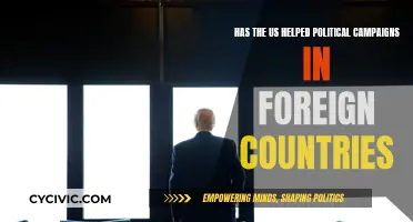 US Intervention in Foreign Political Campaigns: Examining the Evidence