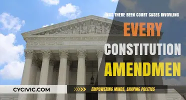 Court Cases for Every Constitutional Amendment: A Comprehensive Review
