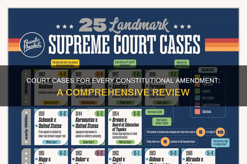 has there been court cases invovling every constitutional amendment