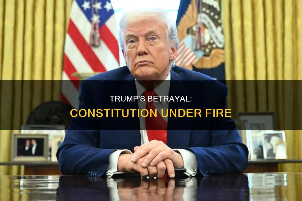 has trump betrayed his oath to the constitution