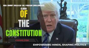 Trump's Foreign Emoluments: Constitutional Violation?