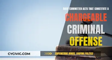 Criminal Acts: Understanding Chargeable Offenses