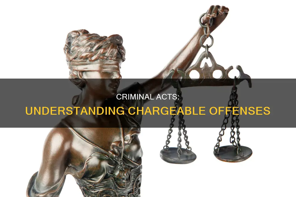 have committed acts that constitute a chargeable criminal offense