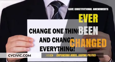 Amending the Amendments: Exploring Constitutional Changes