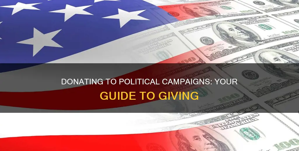 have i donated to a political campaign
