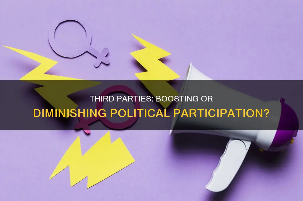have third parties led to less participation in politics