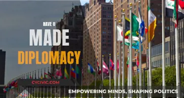 Diplomacy: Navigating the Art of Negotiation and Influence