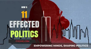 9/11's Political Aftermath: Shaping Global Policies and Security Measures