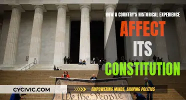 Past Experiences, Future Laws: Constitutions and History