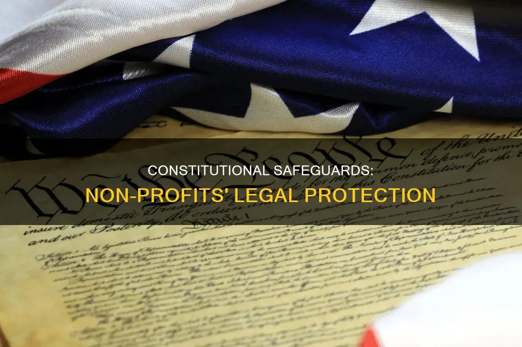how a non-profit protected by the constitution