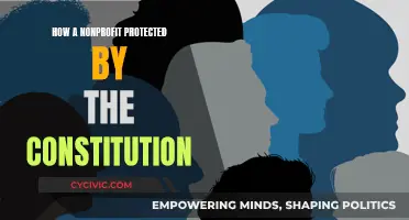 Constitution Safeguards Nonprofits: Freedom to Serve Communities