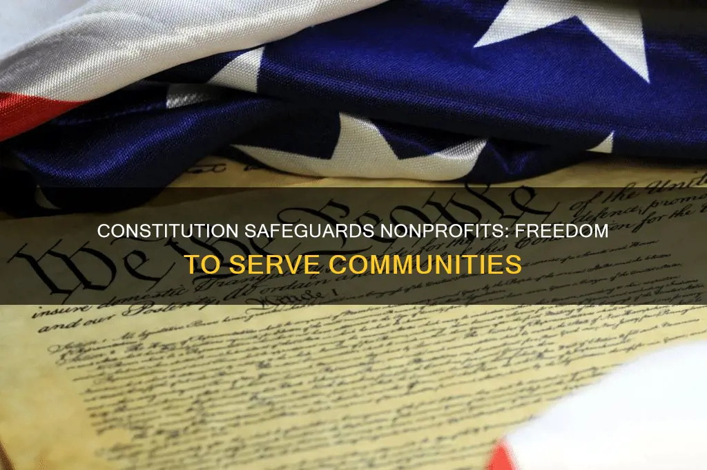 how a nonprofit protected by the constitution
