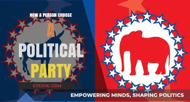 Understanding the Factors That Influence Political Party Affiliation Choices