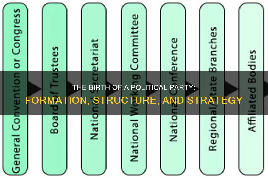 how a political party is formed