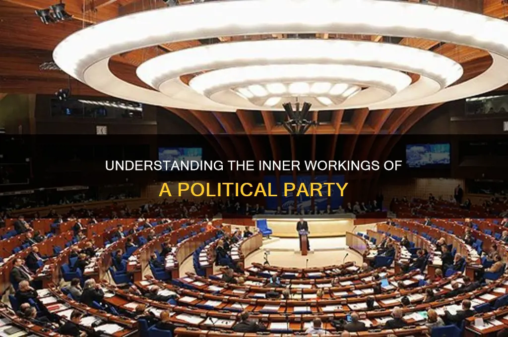 how a political party works