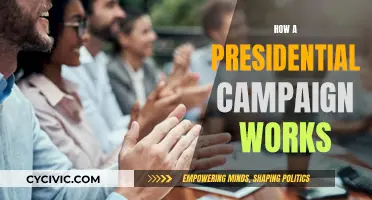 Unraveling the Intricacies of Running for President