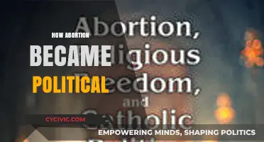 From Personal Choice to Political Divide: The Evolution of Abortion Rights