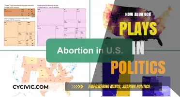 Abortion's Political Divide: Shaping Policies, Elections, and Societal Debates