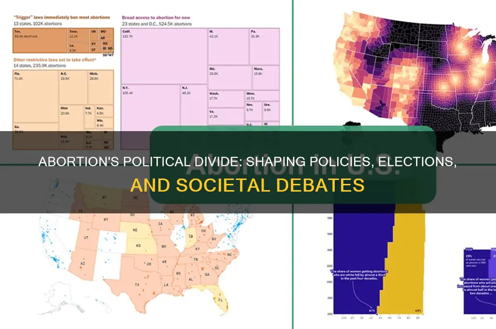 how abortion plays in politics