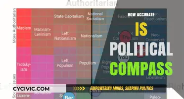 How Accurate is the Political Compass Test? A Critical Analysis