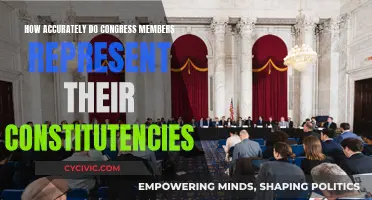 Representing the People: Congress Members' Accuracy