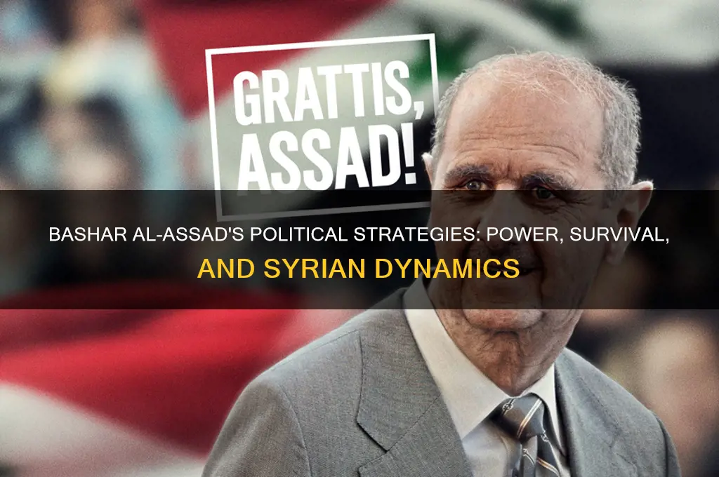 how al assad usues politics