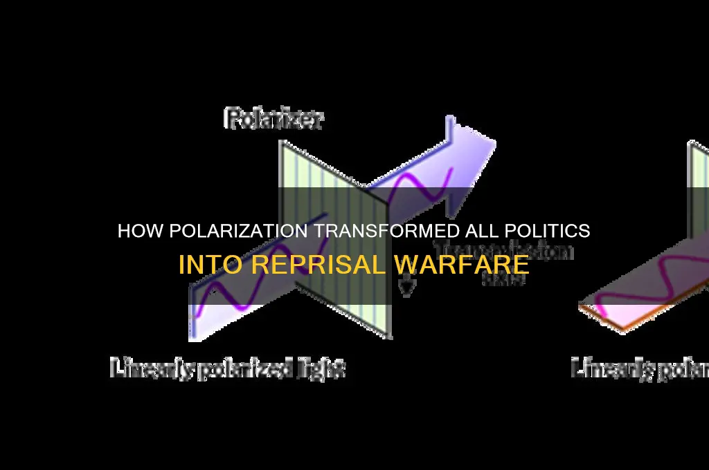 how all politics became repr