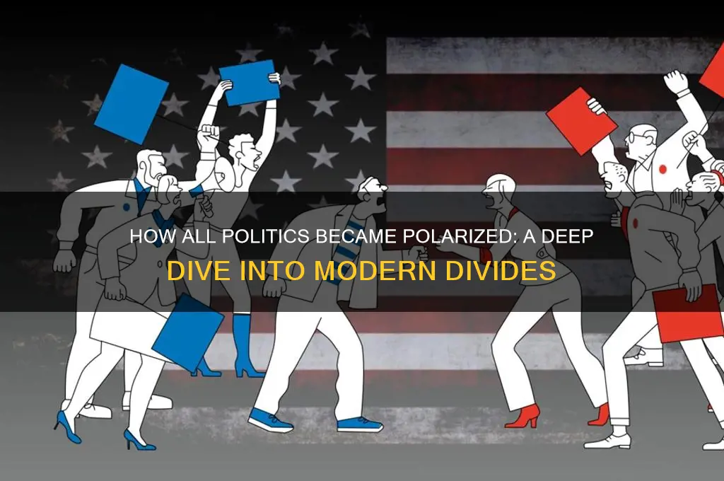how all politics became