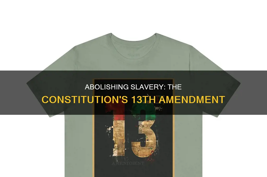 how amendment 13 changed the constitution