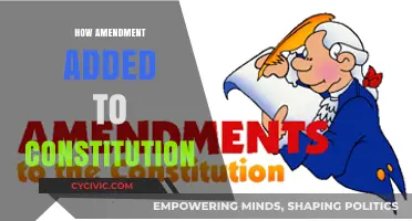 Amending the Constitution: Steps to Change