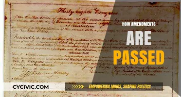 Amendments: The Process of Passing Constitutional Changes