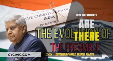 Amendments: A Dynamic Constitution's Evolution