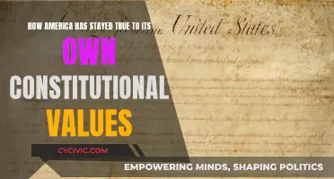America's Constitutional Values: A Historical Perspective