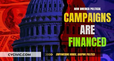 Political Campaign Financing: The American Way