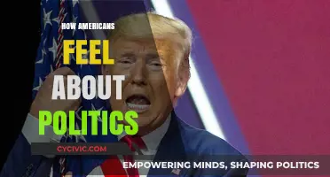Divided Opinions: Understanding Americans' Complex Emotions Towards Politics
