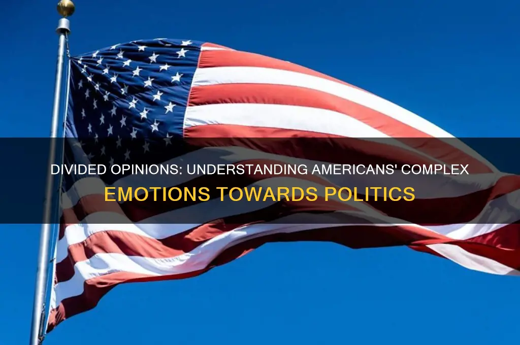 how americans feel about politics