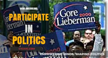 Engaging Democracy: How Americans Participate in Politics Beyond Voting