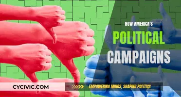 The Political Campaign Trail: America's Strategy and Tactics